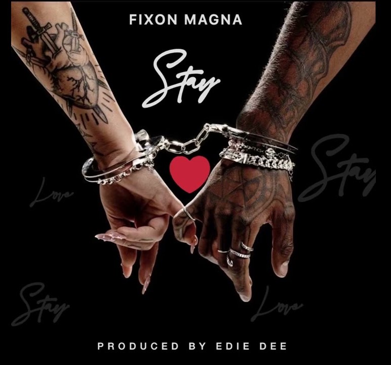 Fixon Magna
